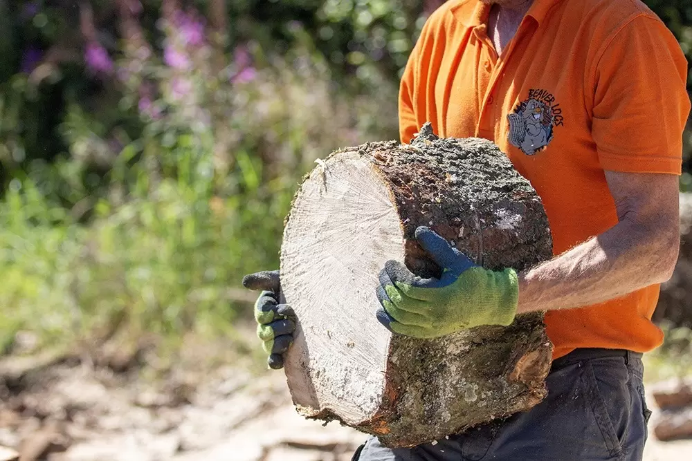 Logs Scotland | Beaver Logs, Kiln Dried Logs Scotland & Northern England