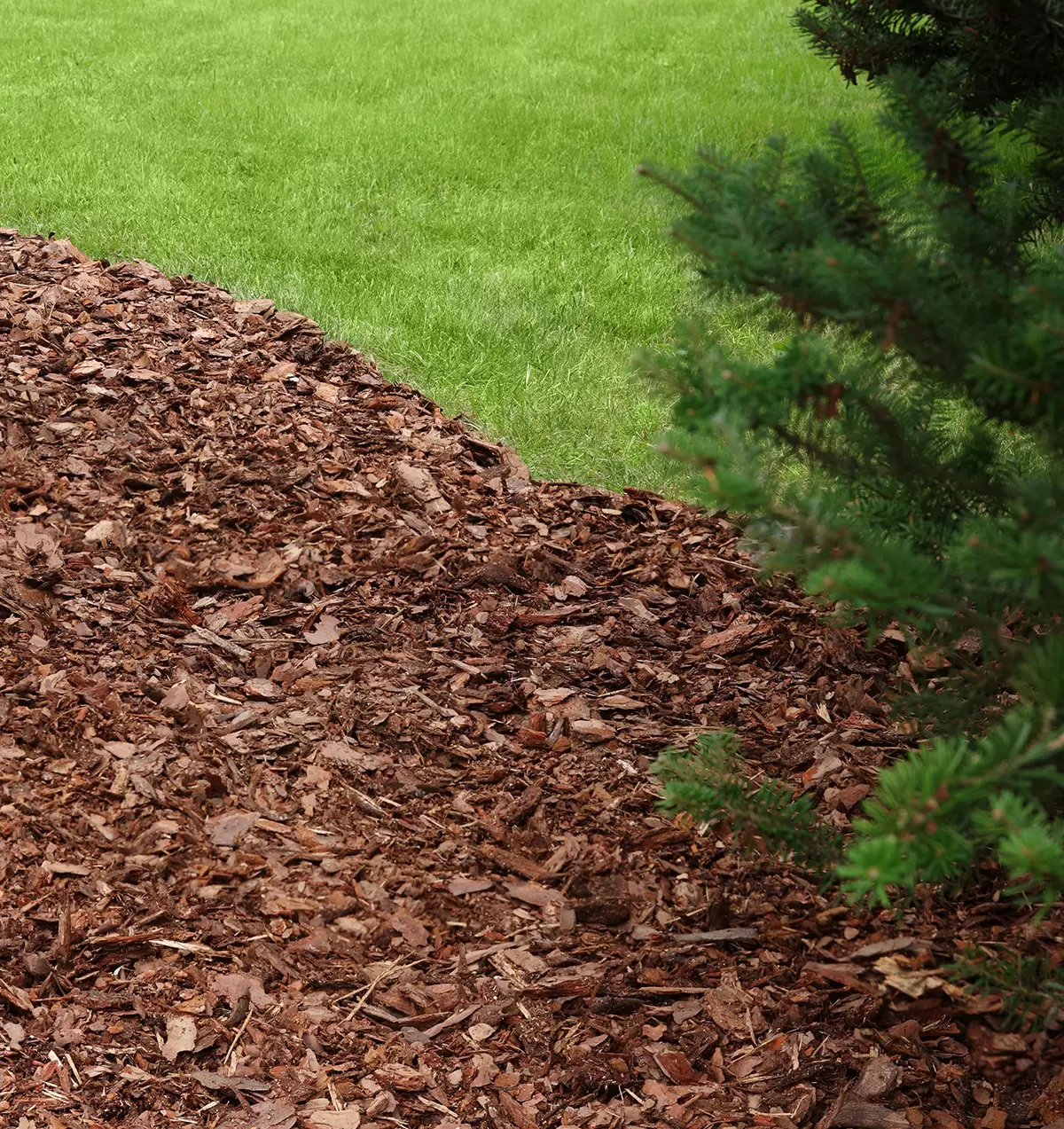 Full Cubic Meter Bag: Decorative Bark