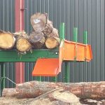 Logs being selected for cutting
