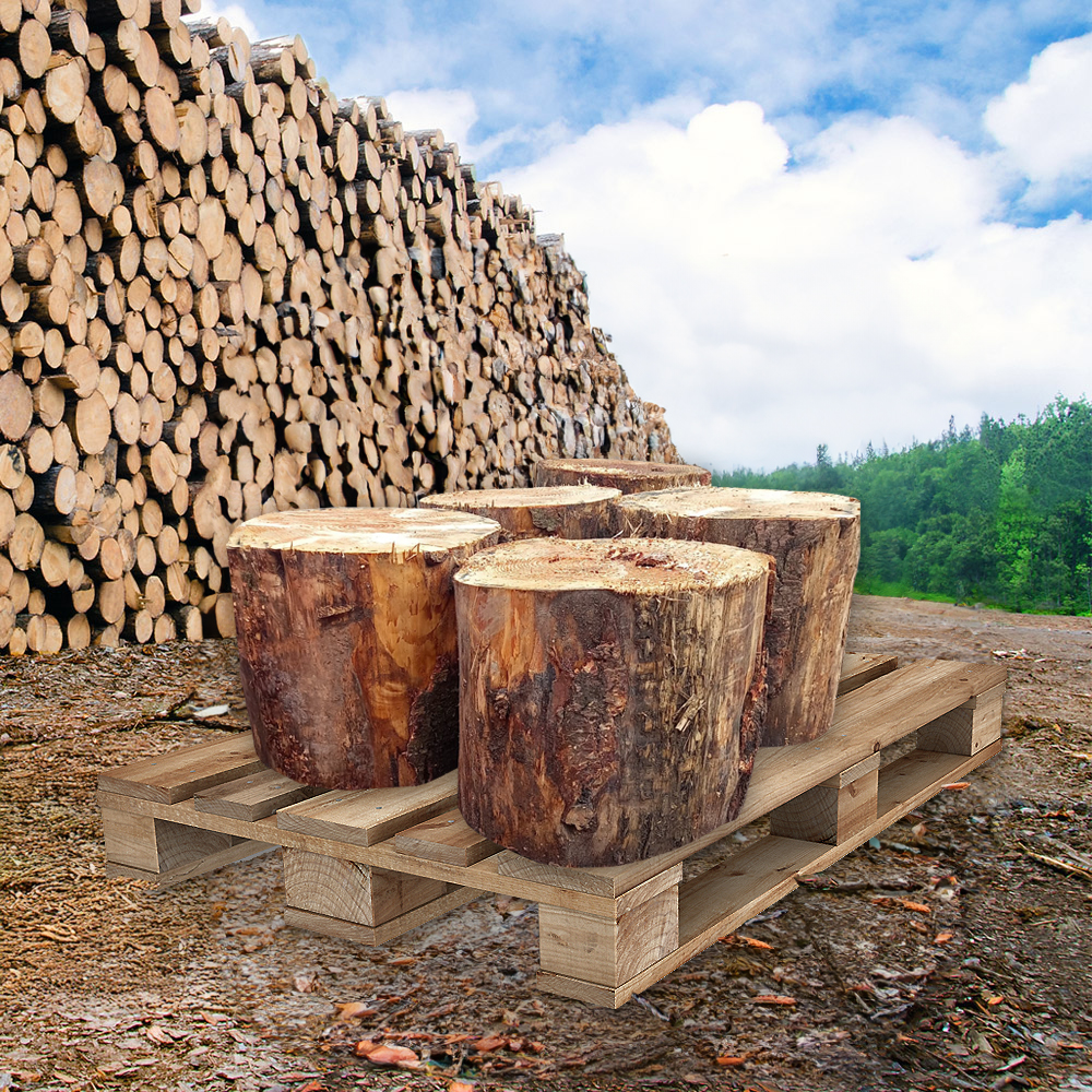 Larch Chopping Blocks
