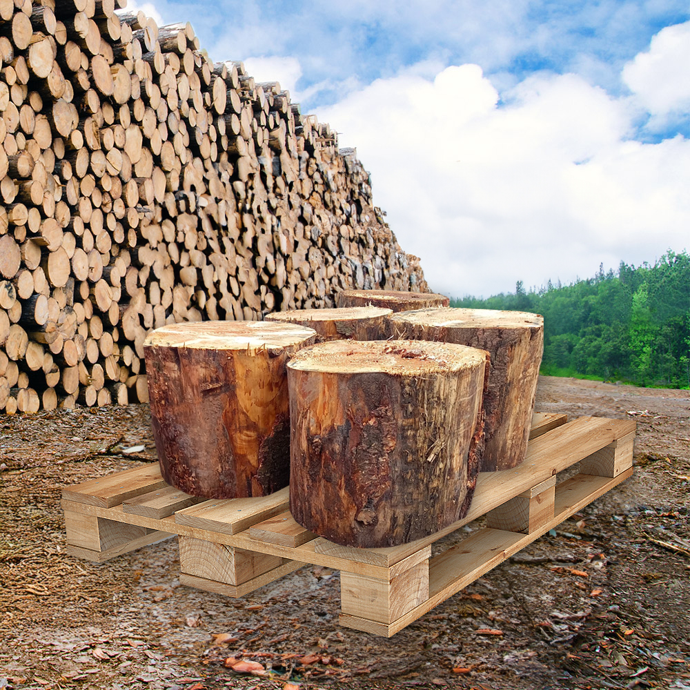 Larch Chopping Blocks
