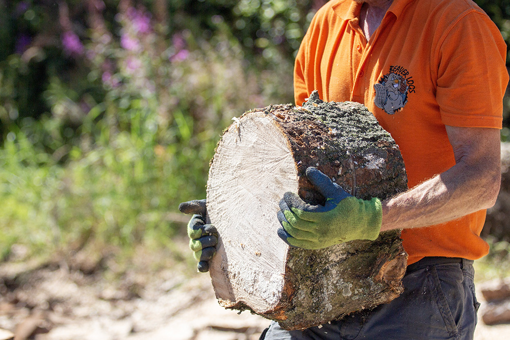 Logs Scotland | Beaver Logs, Kiln Dried Logs Scotland & Northern England